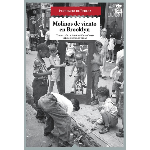 Molinos de viento en brooklyn (Tapa blanda)