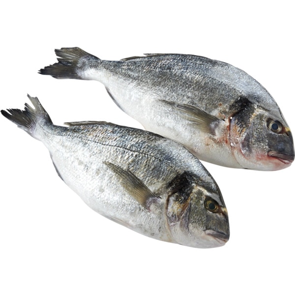 Dourada de Aquicultura 400/600 Peso Aproximado por unidade 550 g