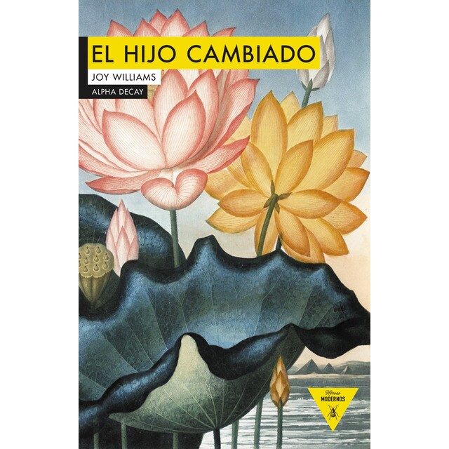 El hijo cambiado (Tapa blanda)