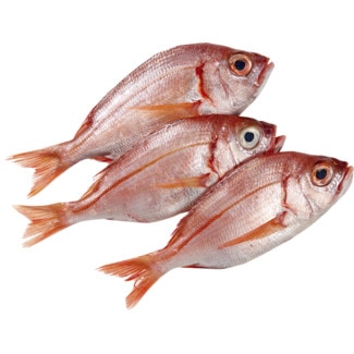 Cachucho Peso Aproximado por unidade 300 g