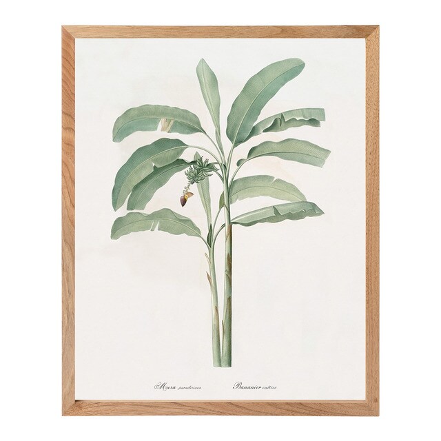 - - Lámina Palmera The Dybahl + Marco Thor El Corte Inglés.