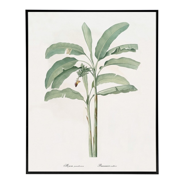 - - Lámina Palmera The Dybahl + Marco Home Office El Corte Inglés.