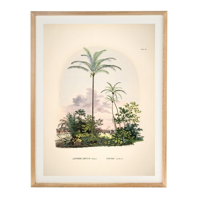 - - Lámina Palmeras de Cielo The Dybahl + Marco Thor El Corte Inglés.