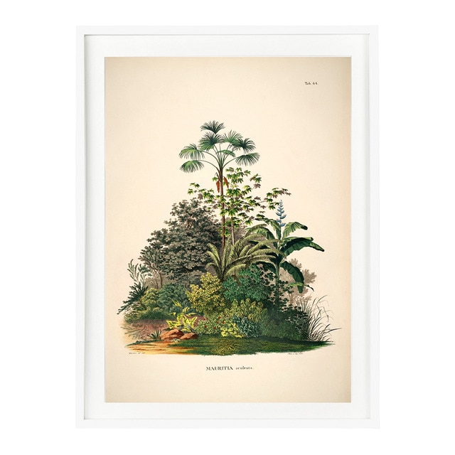 - - Lámina Palmeras Selva The Dybahl + Marco Thor El Corte Inglés.