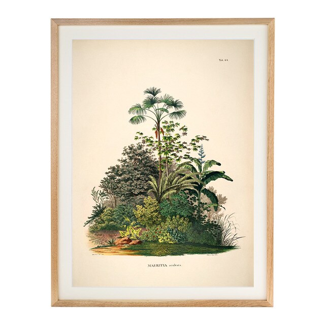 - - Lámina Palmeras Selva The Dybahl + Marco Thor El Corte Inglés.