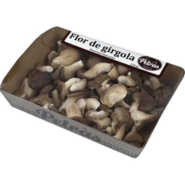 PETRAS seta flor de girgola tarrina 120 g
