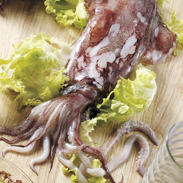 Kaufen Ganzer Tintenfisch Aus Der Sahara Ohne Mastung Oder Verarbeitung Ungefahres Gewicht Stuck 400 700 G Supermercado El Corte Ingles