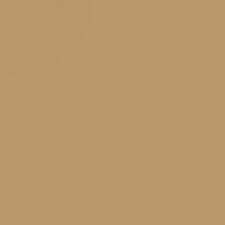 Marsh