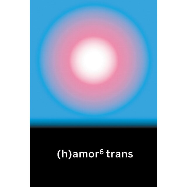 (h)amor 6 trans
