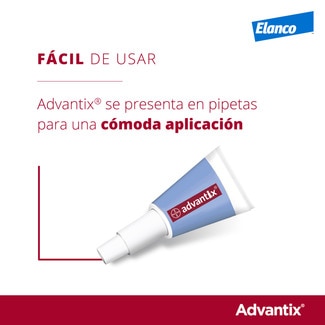 100 mg + 500 mg solución spot-on para perros (> 4 kg <10 kg) envase 4 unidades - Bayer Advantix