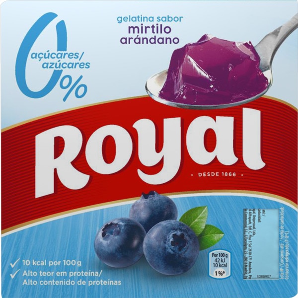 Comprar Gelatina de Mirtilo Pack 4 embalagem 100 g · Royal