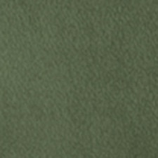 Verde Bosque