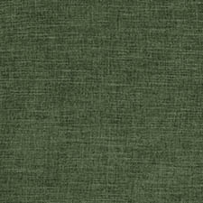 Verde Bosque
