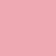 Into the Pink