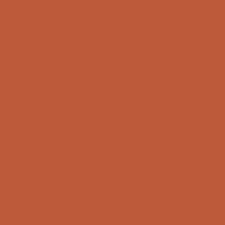 20 - COFFEE BROWN