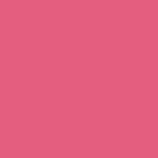 35 - PINK PRINCESS
