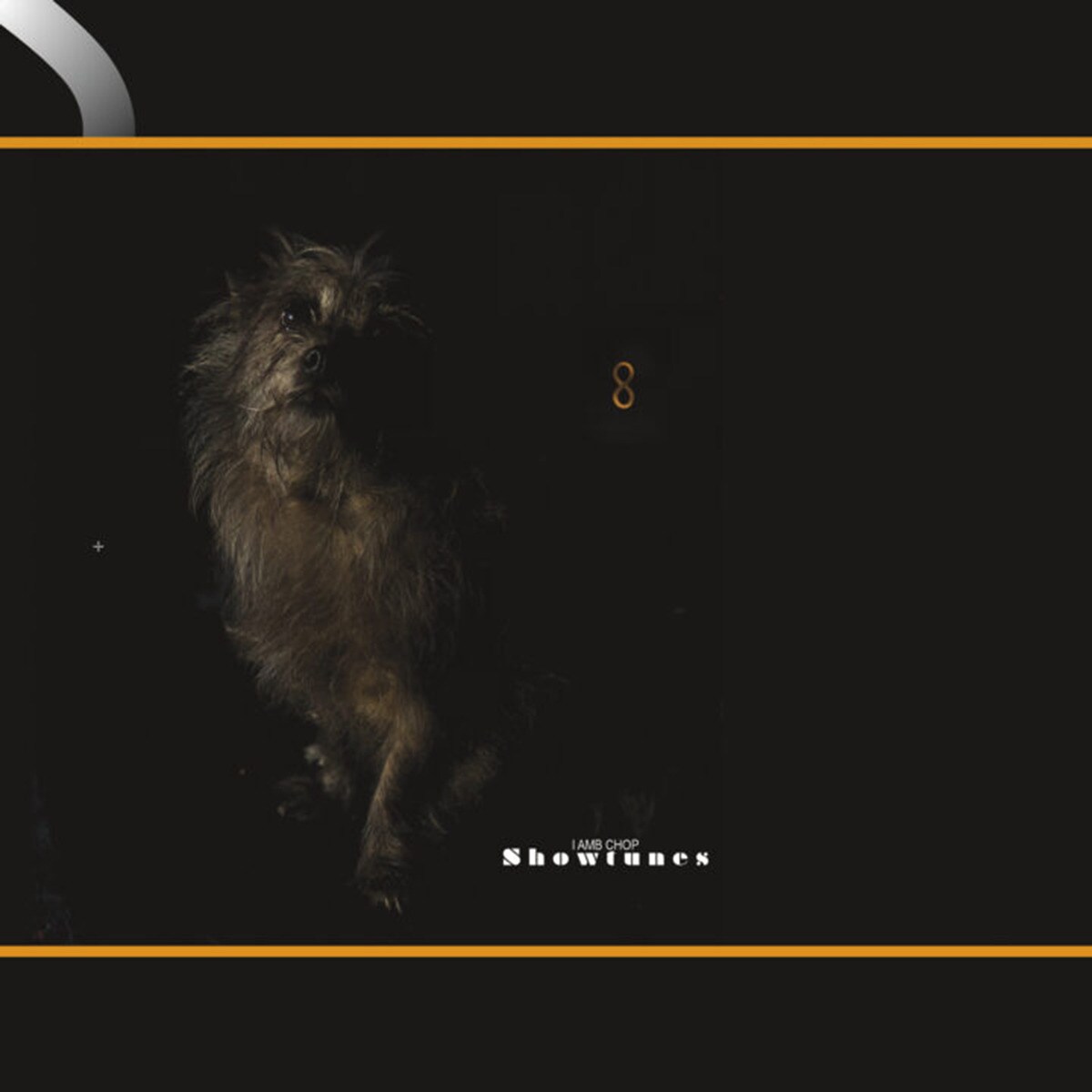 Imagem 0 de Showtunes (LP-Vinil)