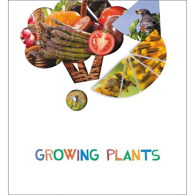 Project Look & See - 5 year-olds : Growing plants
