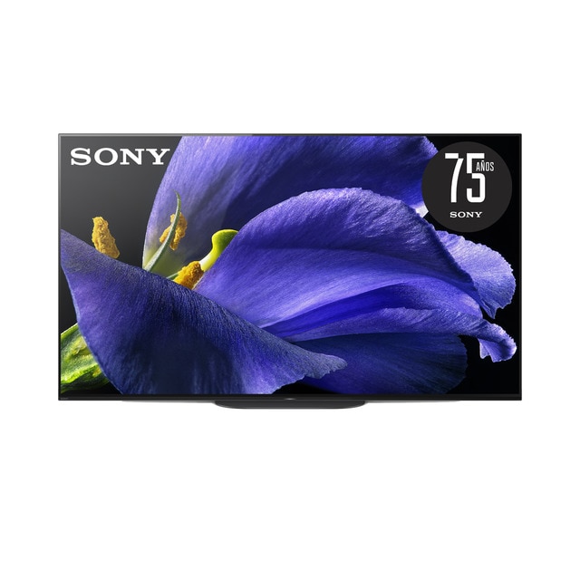 TV OLED 165,1 cm (65