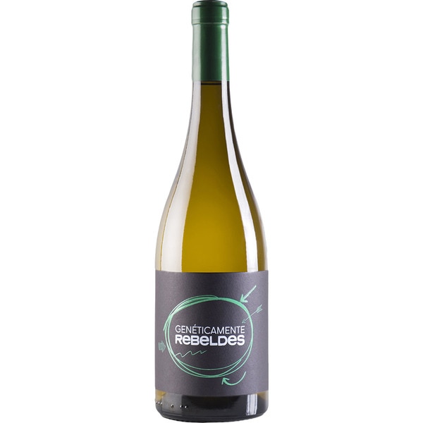 GENETICAMENTE REBELDES vino blanco verdejo macabeo Solidario Asindown ecológico DO Valencia botella 75 cl