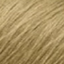 Louro Muito Claro Dourado Louro Muito Claro Dourado