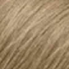 Louro Muito Claro Beige Louro Muito Claro Beige