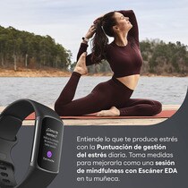 Fitbit Charge 5 Aluminium/acier Noir graphite / Noir Bracelet connecté