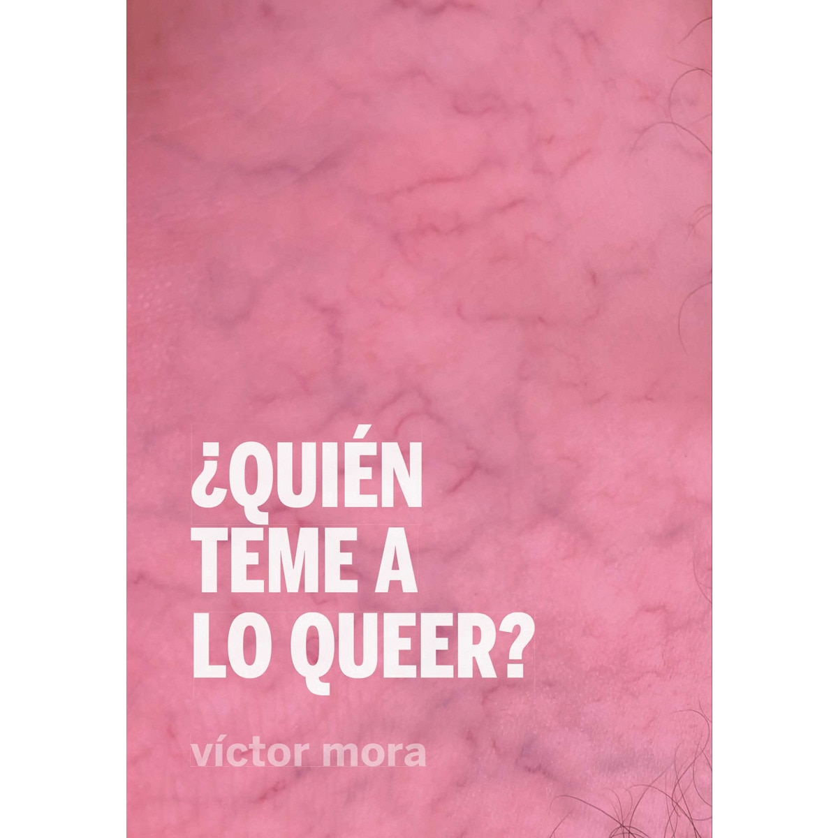Imagem 0 de ¿quién teme a lo queer?(Tapa blanda)