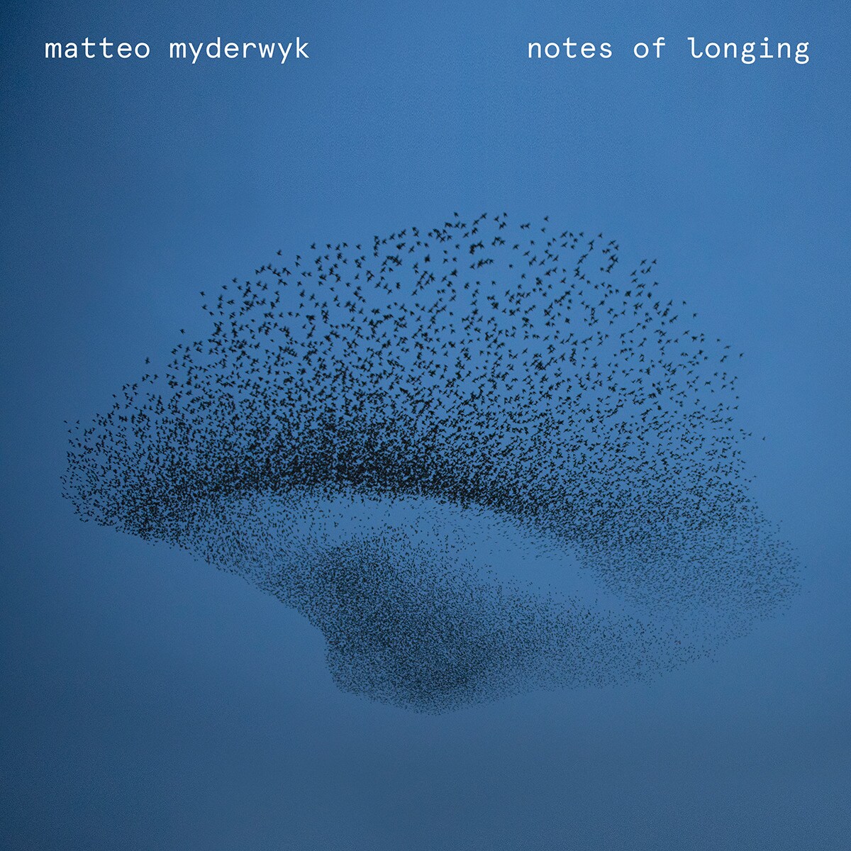 Imagem 0 de Notes Of Longing (LP-Vinil)