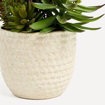 Plante artificielle Ceram Relie El Corte Inglés
