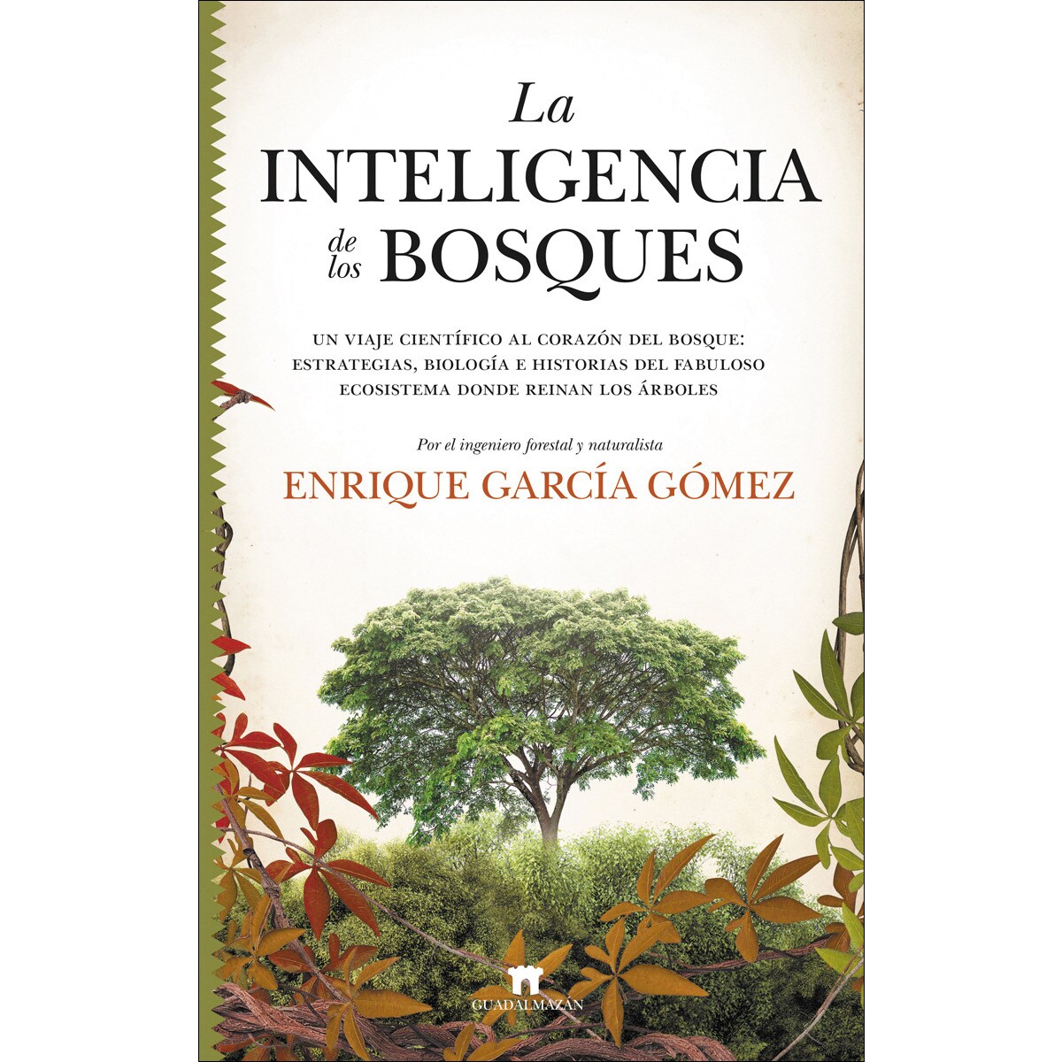 Imagem 0 de La inteligencia de los bosques: un viaje científico al corazón del bosque: estrategias, biología e historias del fabuloso ecosistema dond(Tapa blanda)