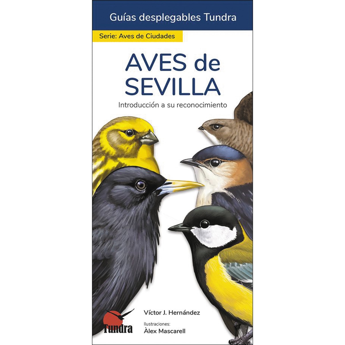 Imagem 0 de Aves de valencia - guias desplegables tundra