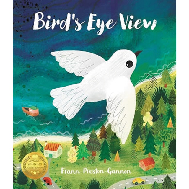 A bird`s eye view.