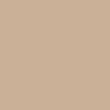 245 Light Medium