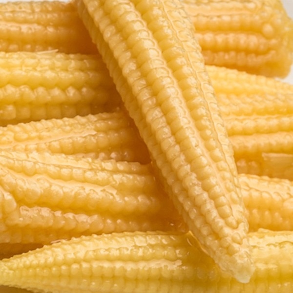 Mini Maçarocas de Milho