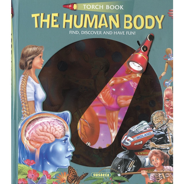 The human body