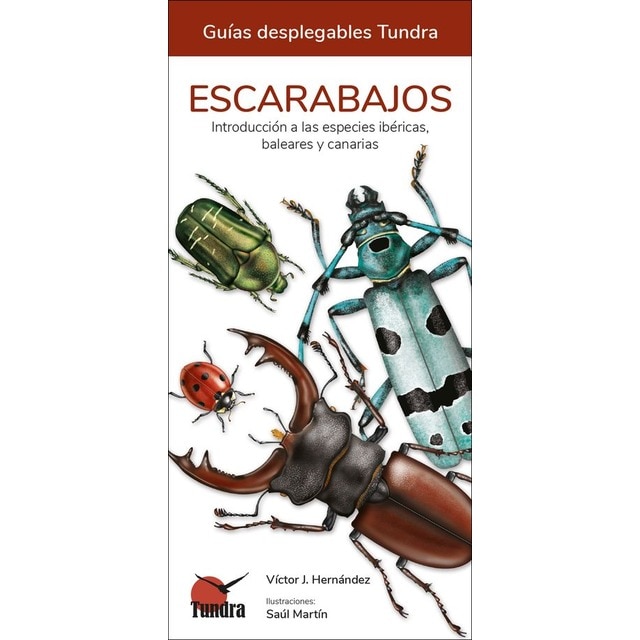 Arañas - guias desplegables tundra