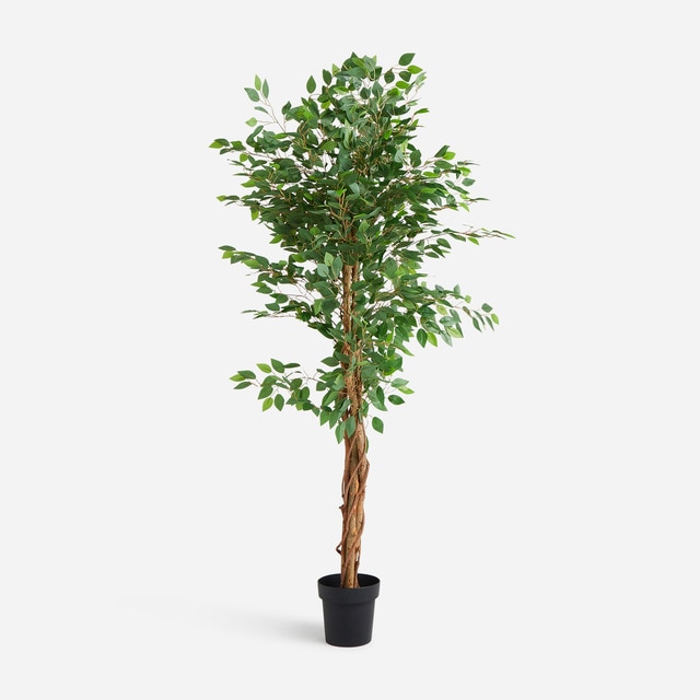Árbol artificial Ficus Benajmina 180 cm El Corte Inglés