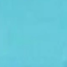 Dolphin turquoise