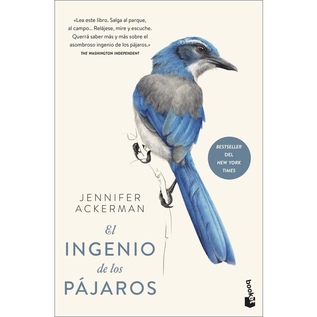 El ingenio de los pájaros