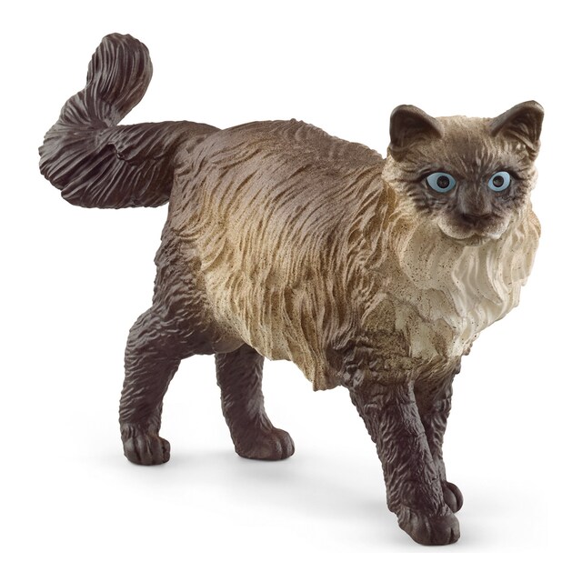 Figura Gato Ragdoll Schleich