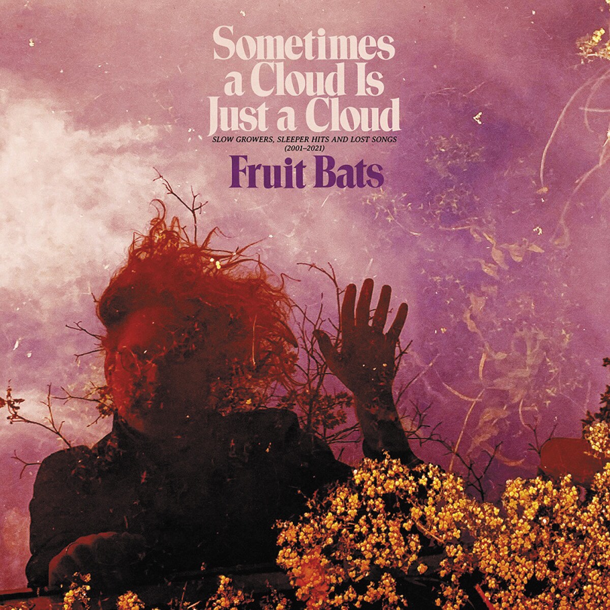 Imagem 0 de Sometines a Cloud is Just a Clous: Slow Growers. Sleeper Hits and Lost Songs (2001-2021)  (2 LP-Vinil)