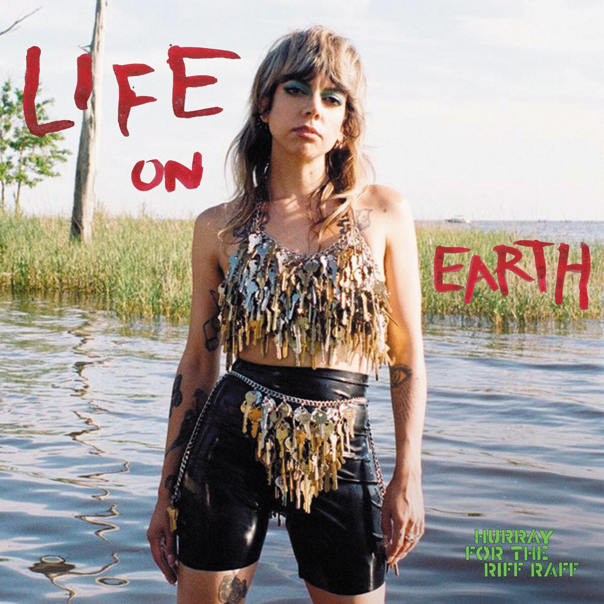 Imagem 0 de Life On Earth (LP-Vinil)