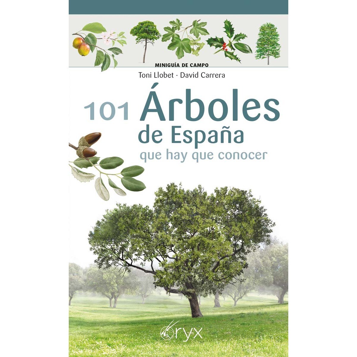 Imagem 0 de 101 Árboles de España: que hay que conocer