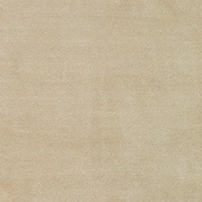 Nefertiti 134 Nefertiti 134