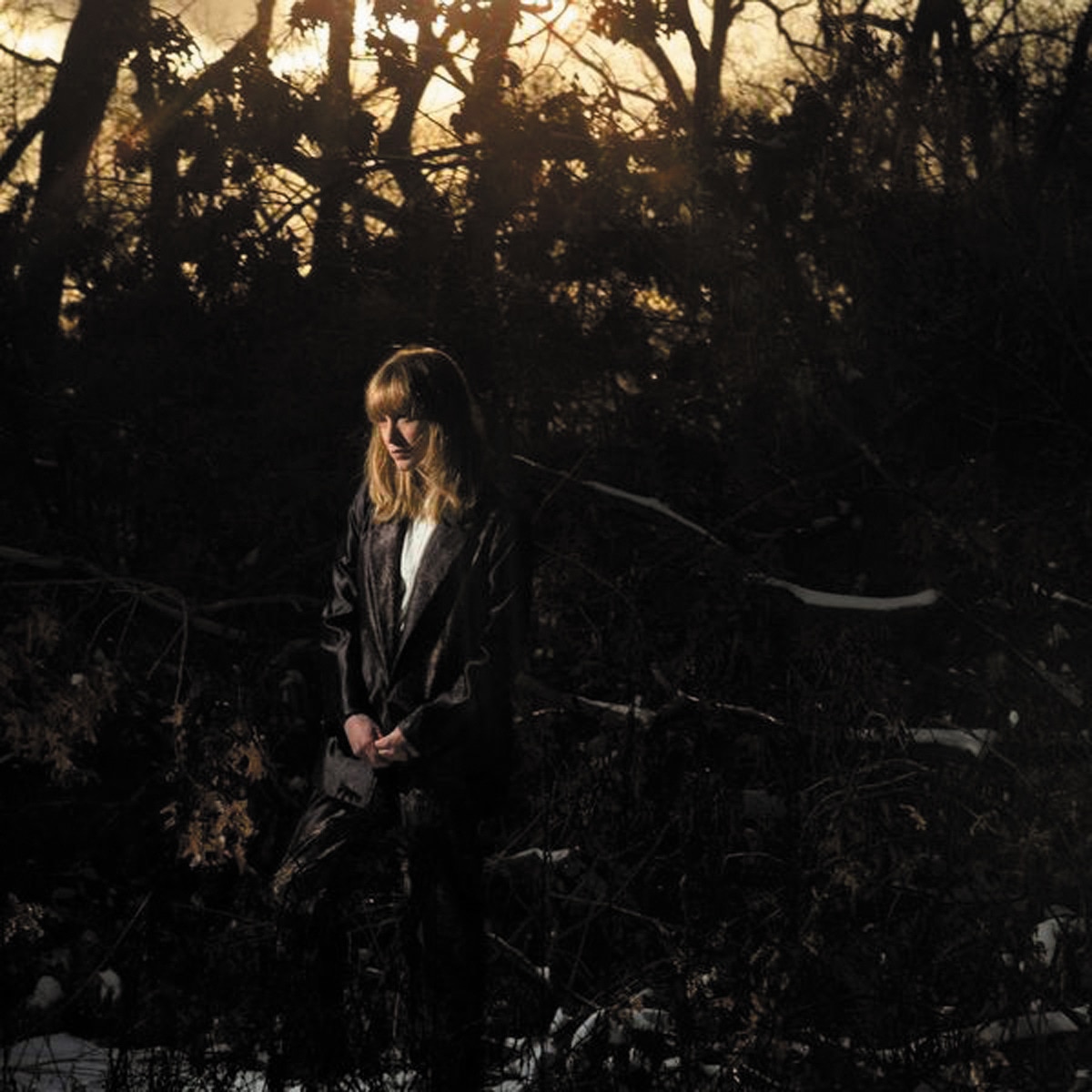 Imagem 0 de How is it That I Should Look at the Stars  (LP-Vinil)