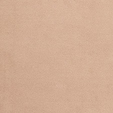 Salmón 170 Salmón 170