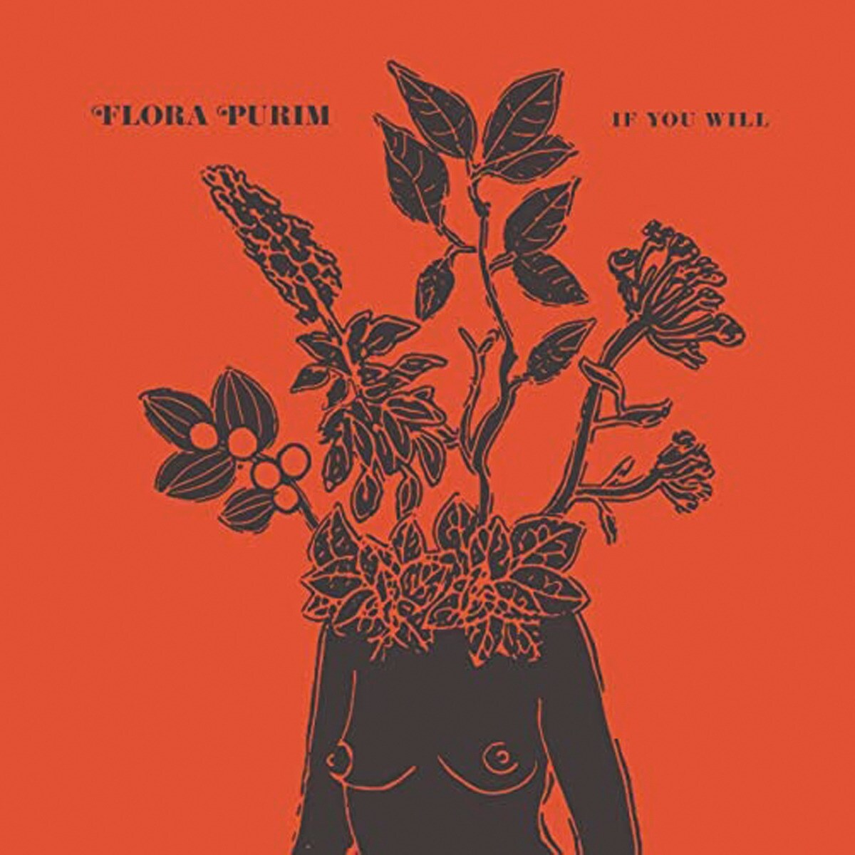 Imagem 0 de If You Will  (LP-Vinil)