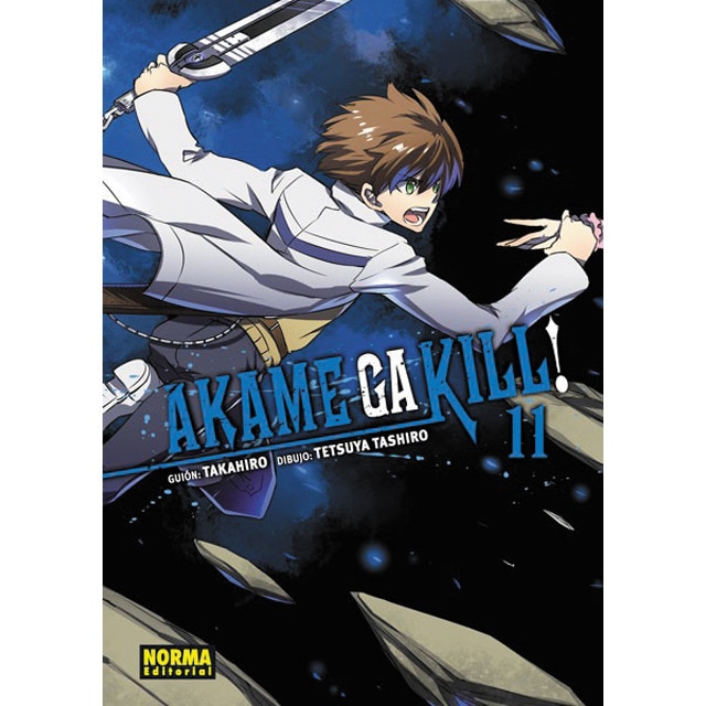 Akame ga kill! 11 (Tapa blanda)