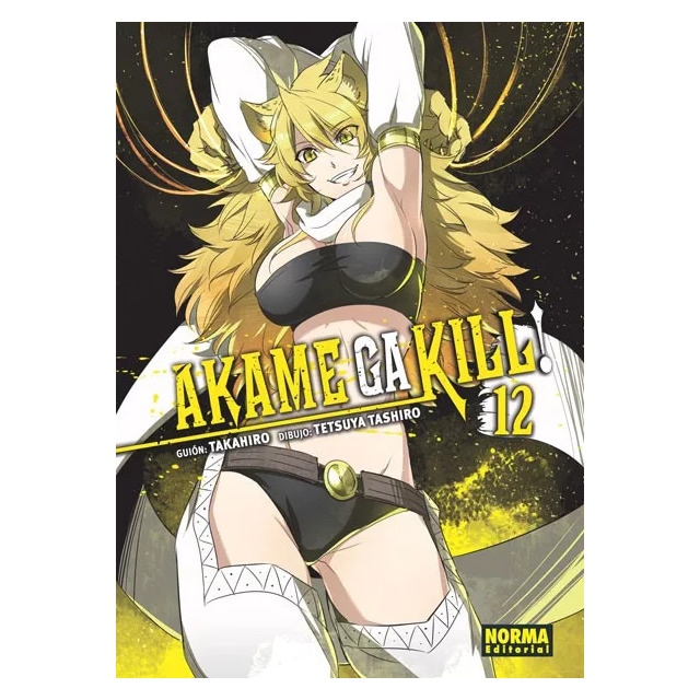 Akame ga kill! 12 (Tapa blanda)